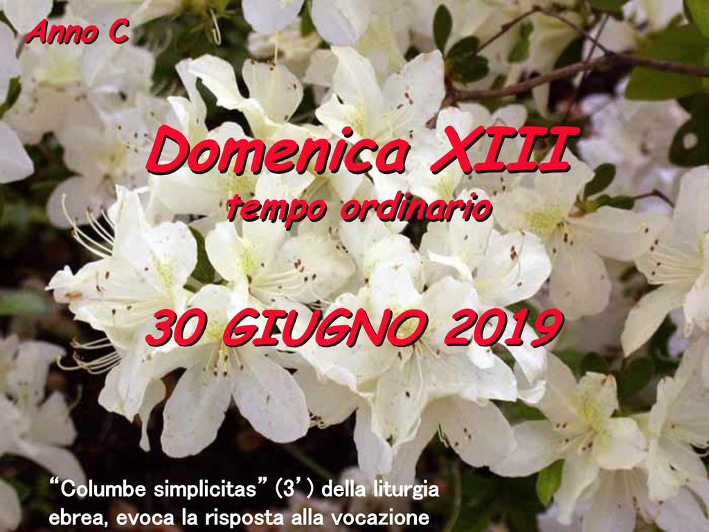 Domenica Xiii Giugno Tempo Ordinario Ppt Scaricare